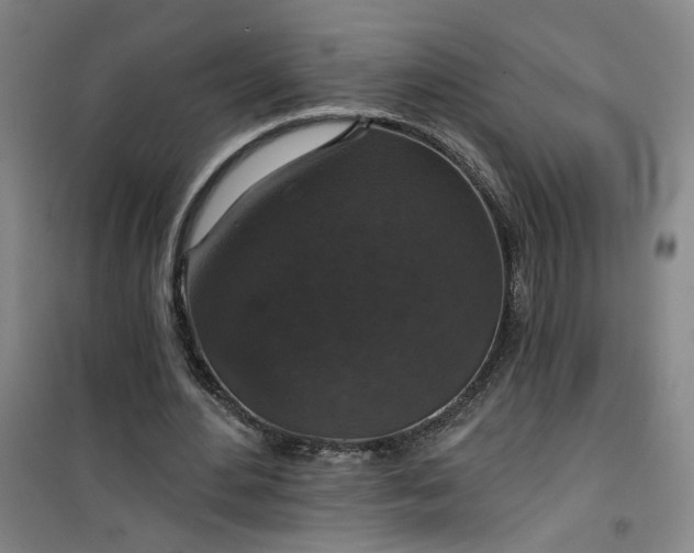 X0000101140484200807110946