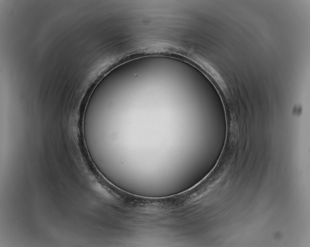 X0000101140485200807110946