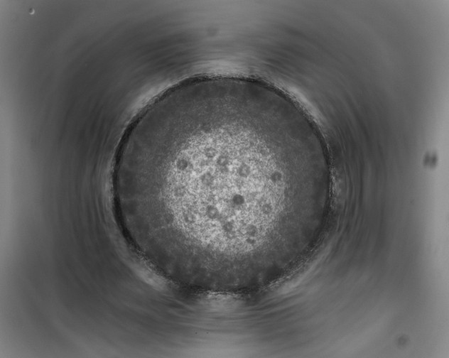 X0000101140487200807110946