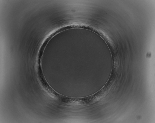 X0000101140488200807110946