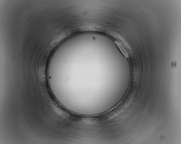 X0000101140489200807110946