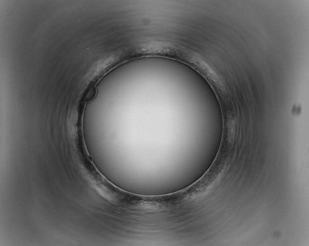 X0000101140490200807110946