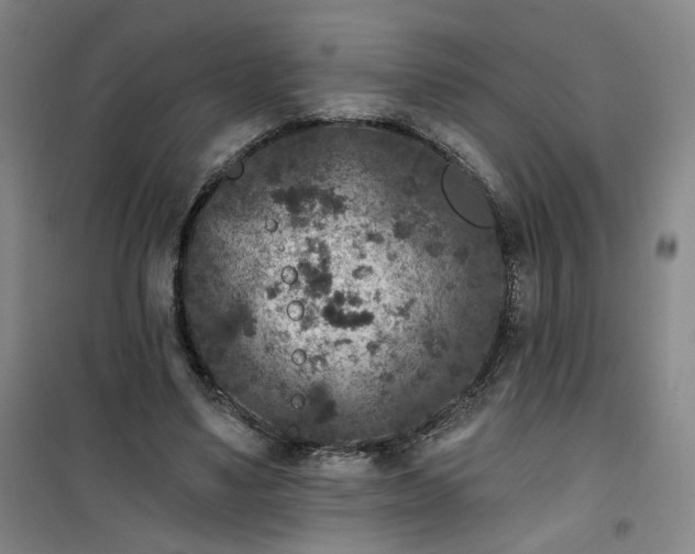 X0000101140491200807110946