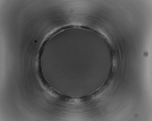 X0000101140492200807110946