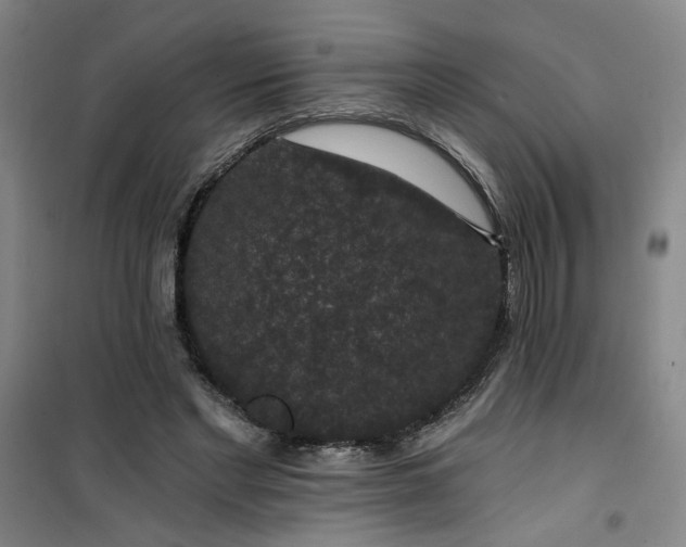 X0000101140493200807110946