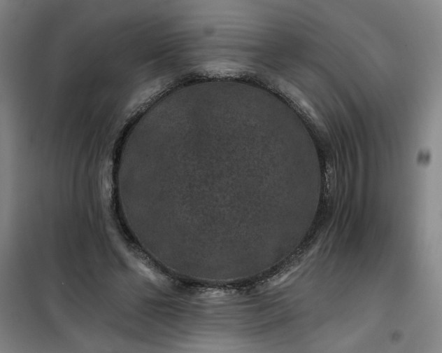 X0000101140494200807110946