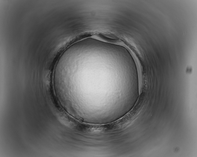 X0000101140495200807110946