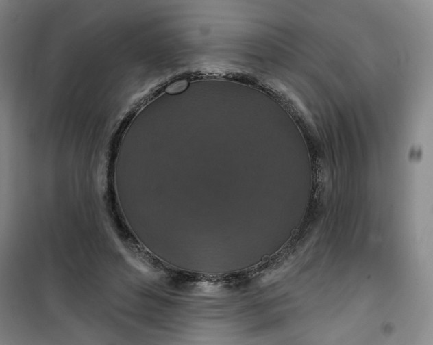 X0000101140496200807110946