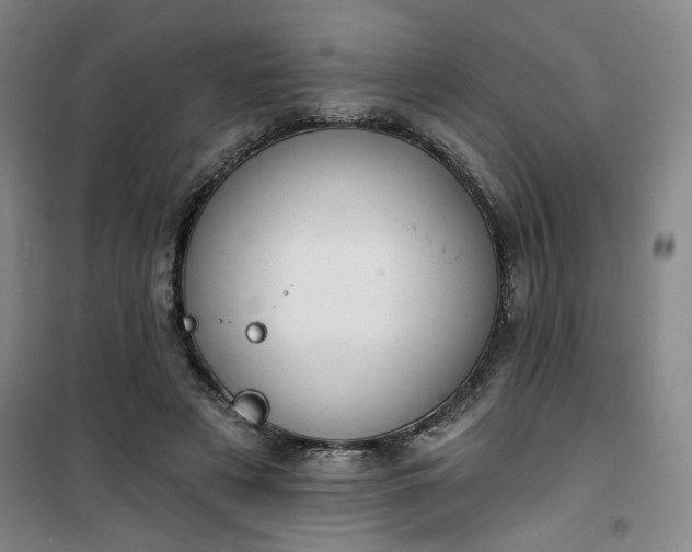 X0000101140497200807110946