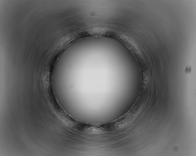 X0000101140498200807110946