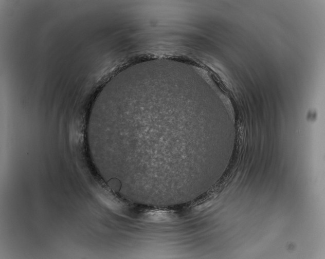 X0000101140499200807110946