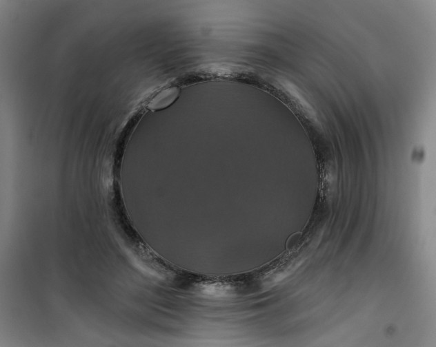 X0000101140500200807110946