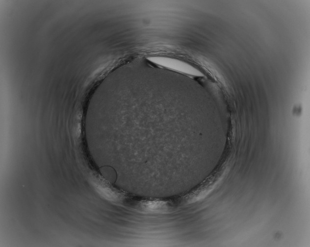 X0000101140501200807110946