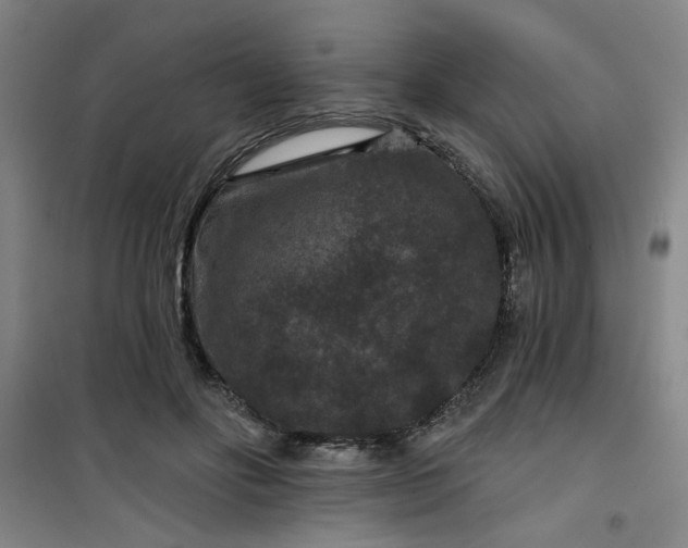 X0000101140502200807110946