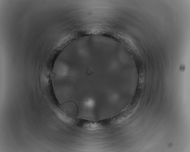 X0000101140503200807110946