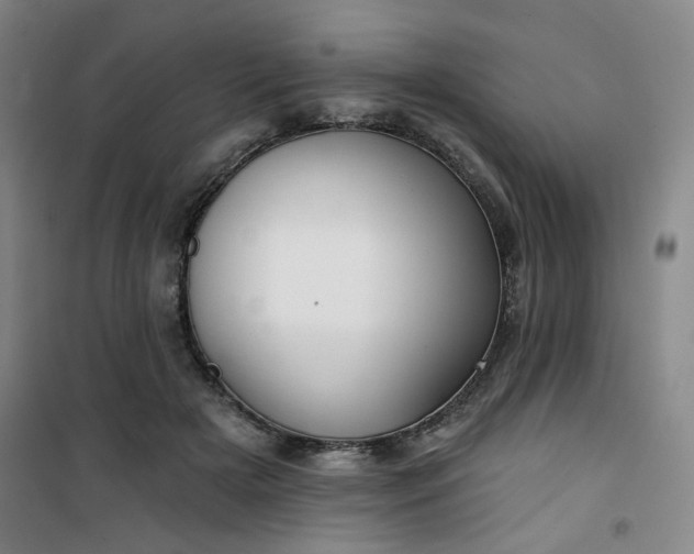 X0000101140505200807110946