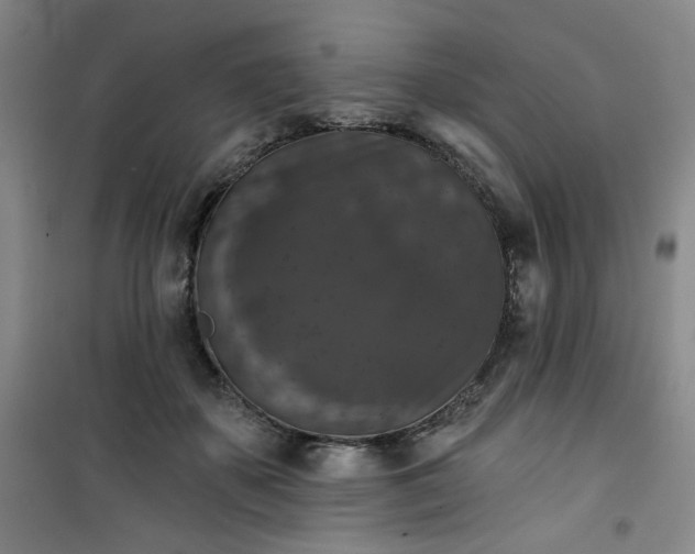 X0000101140507200807110946