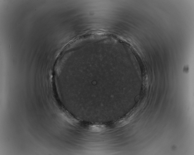 X0000101140508200807110946