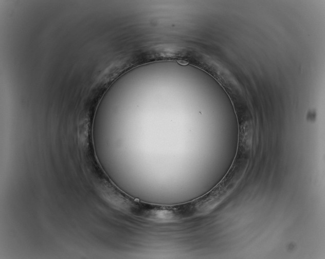 X0000101140509200807110946