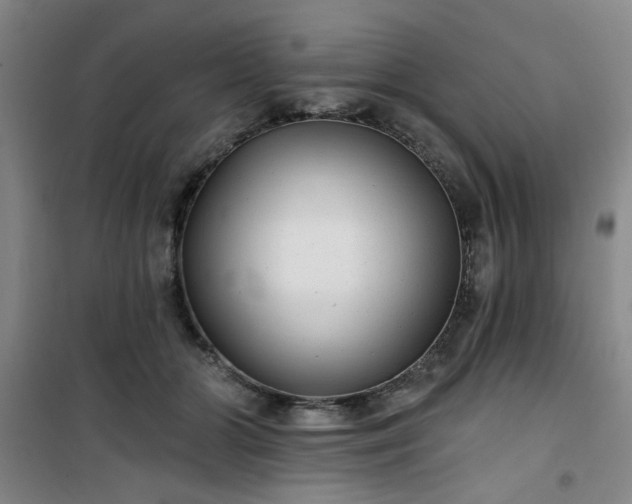 X0000101140510200807110946