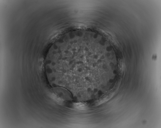 X0000101140511200807110946