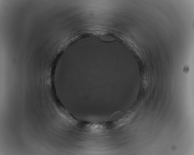 X0000101140512200807110946