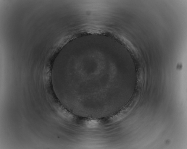 X0000101140513200807110946