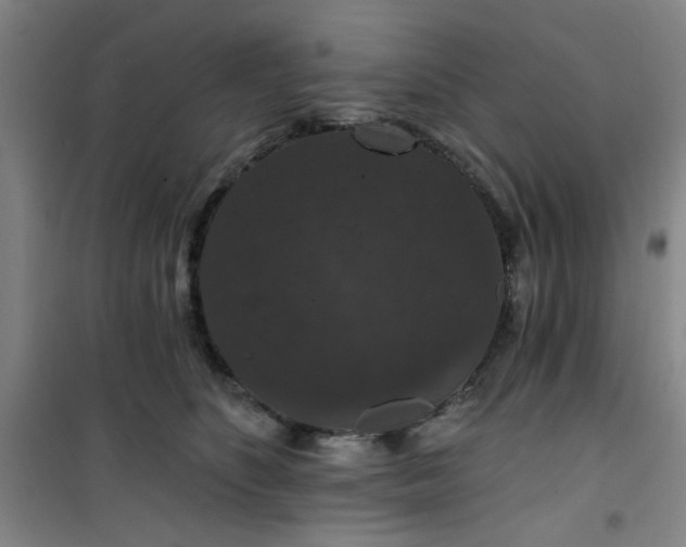 X0000101140516200807110946