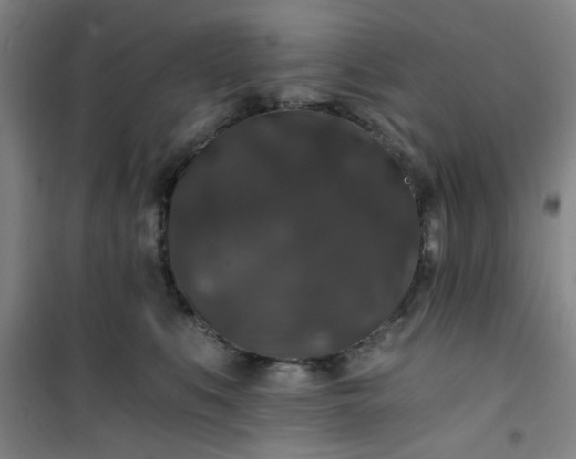 X0000101140519200807110946