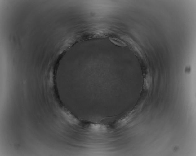 X0000101140520200807110946