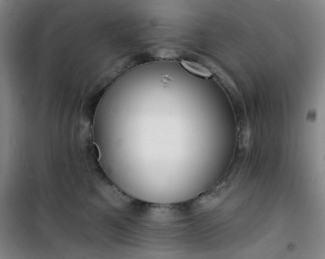 X0000101140521200807110946