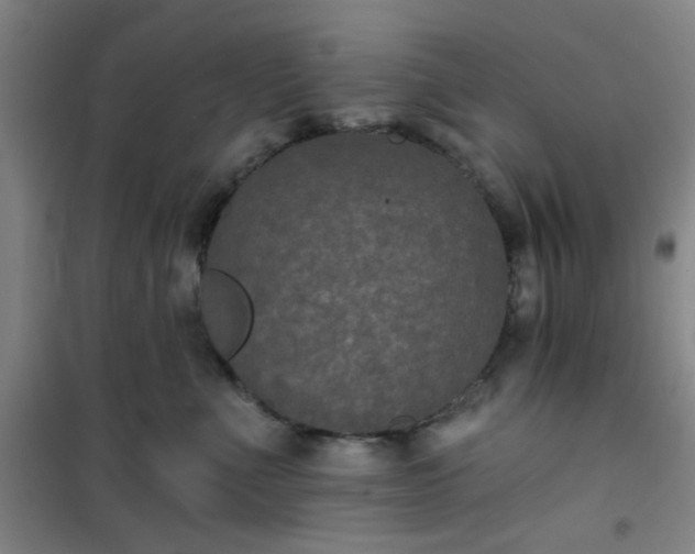 X0000101140523200807110946