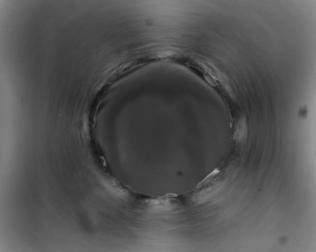 X0000101140524200807110946