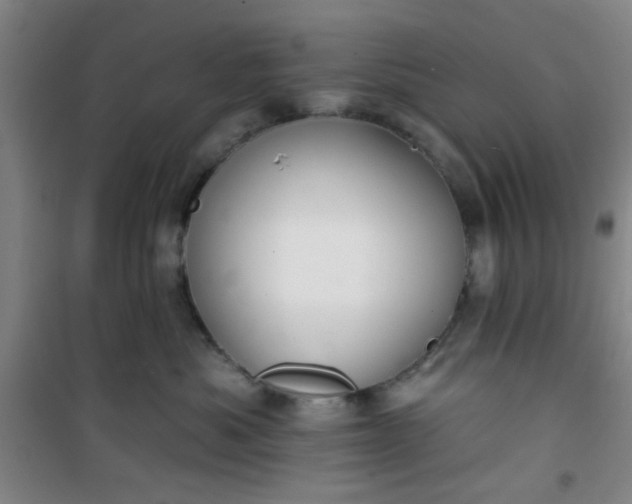 X0000101140525200807110946