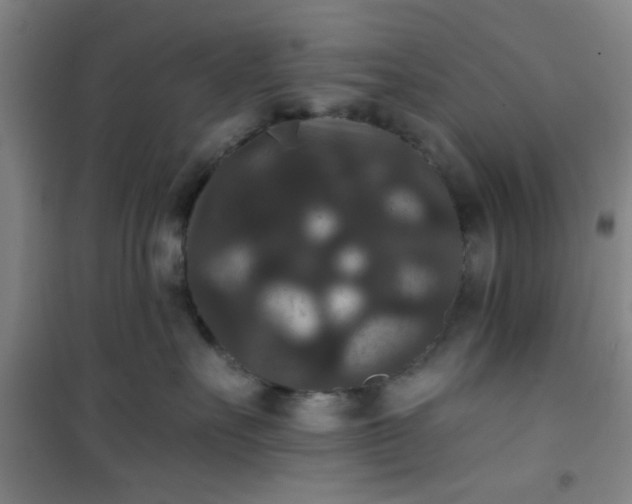 X0000101140527200807110946