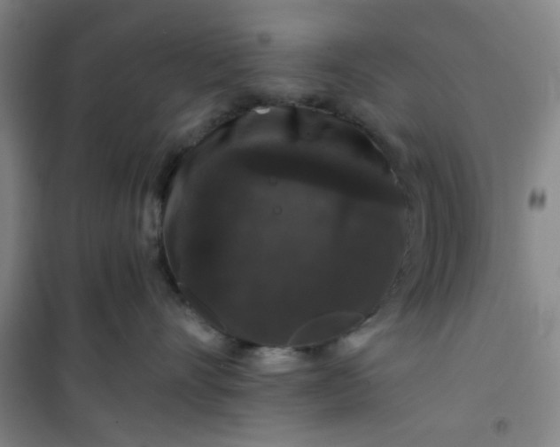 X0000101140528200807110946