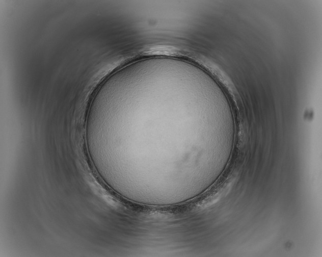 X0000101140529200807110945