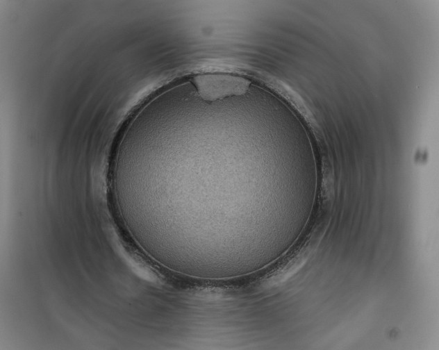 X0000101140530200807110945