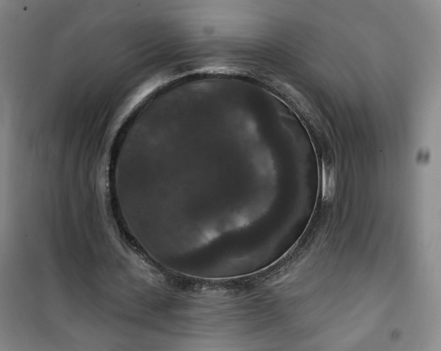 X0000101140531200807110945