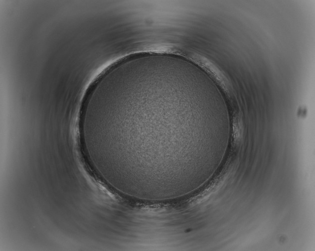 X0000101140532200807110945