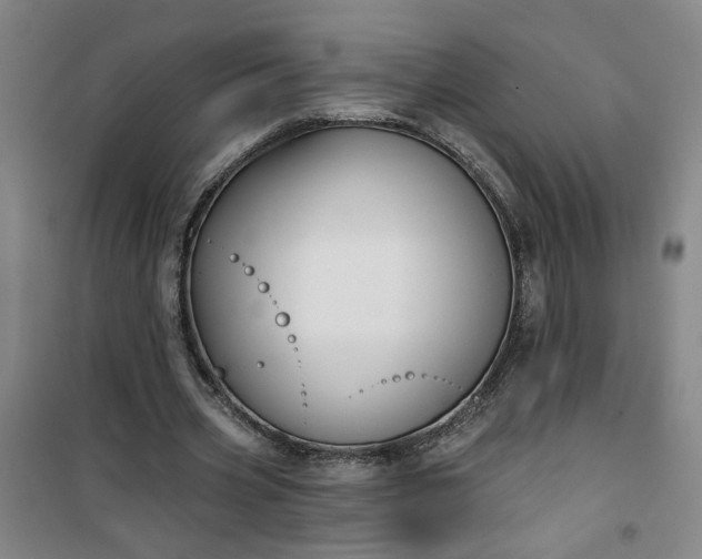 X0000101140533200807110945