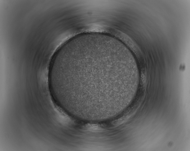 X0000101140534200807110945