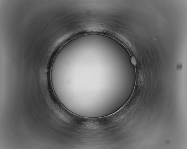 X0000101140535200807110945