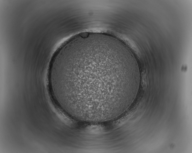 X0000101140536200807110945