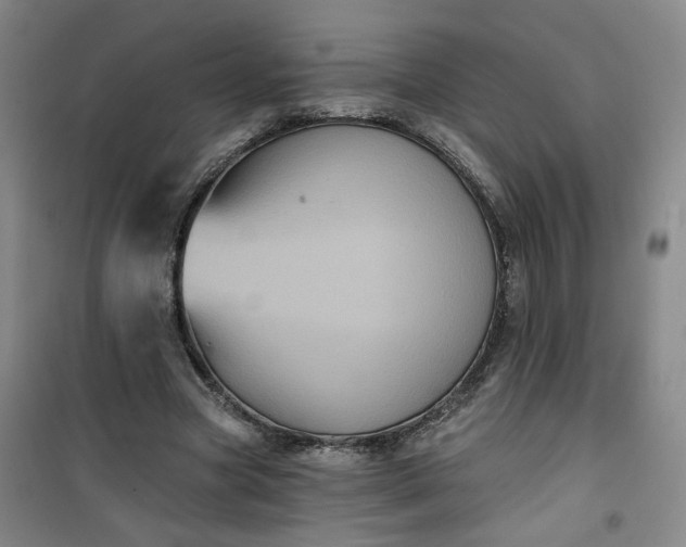 X0000101140537200807110945