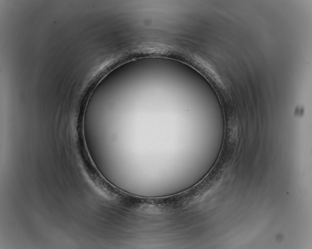 X0000101140538200807110945