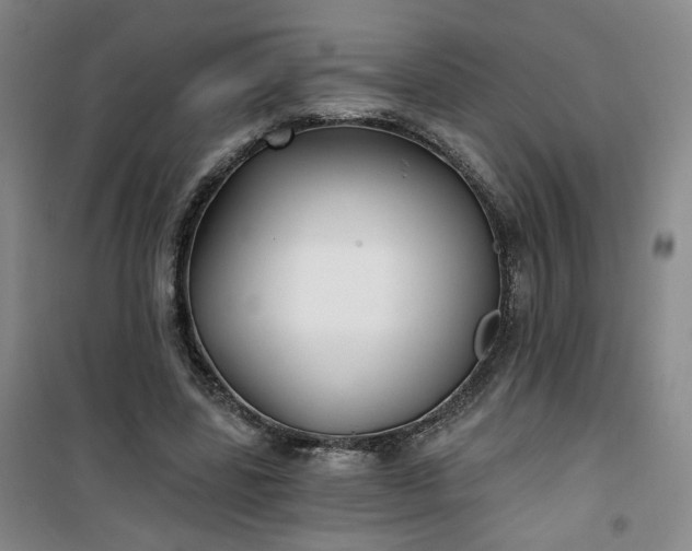 X0000101140539200807110945