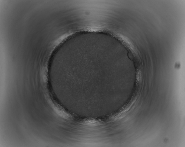 X0000101140540200807110945