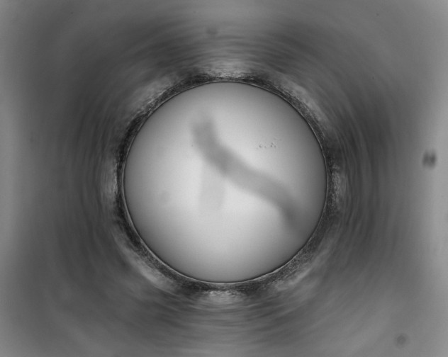 X0000101140541200807110945