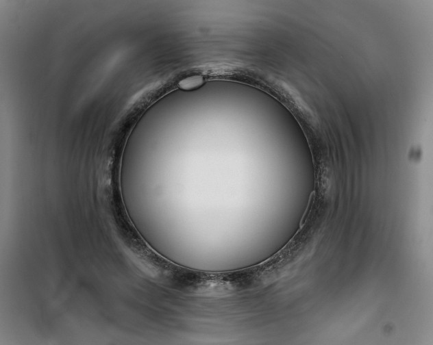 X0000101140543200807110945